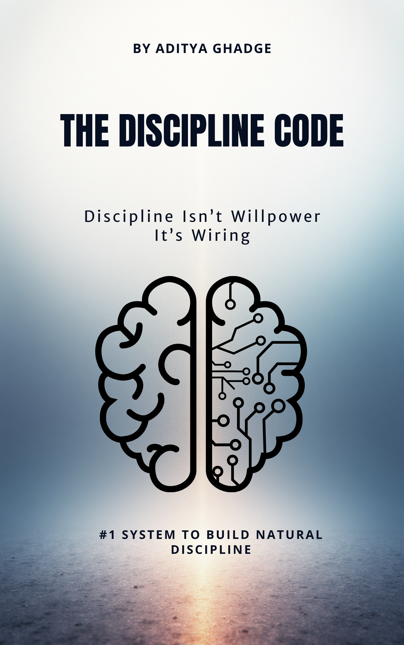 The Discipline Code Book Cover